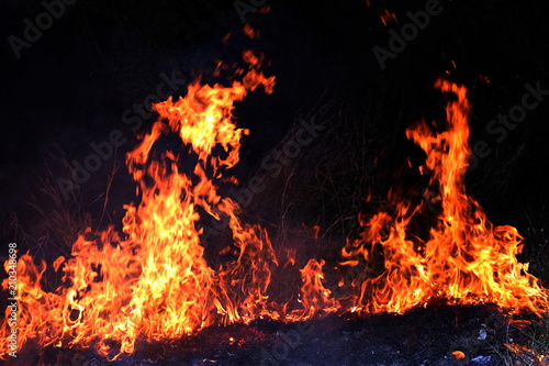 Fire, Forest fire at night, Fire burning hay (Selective focus)