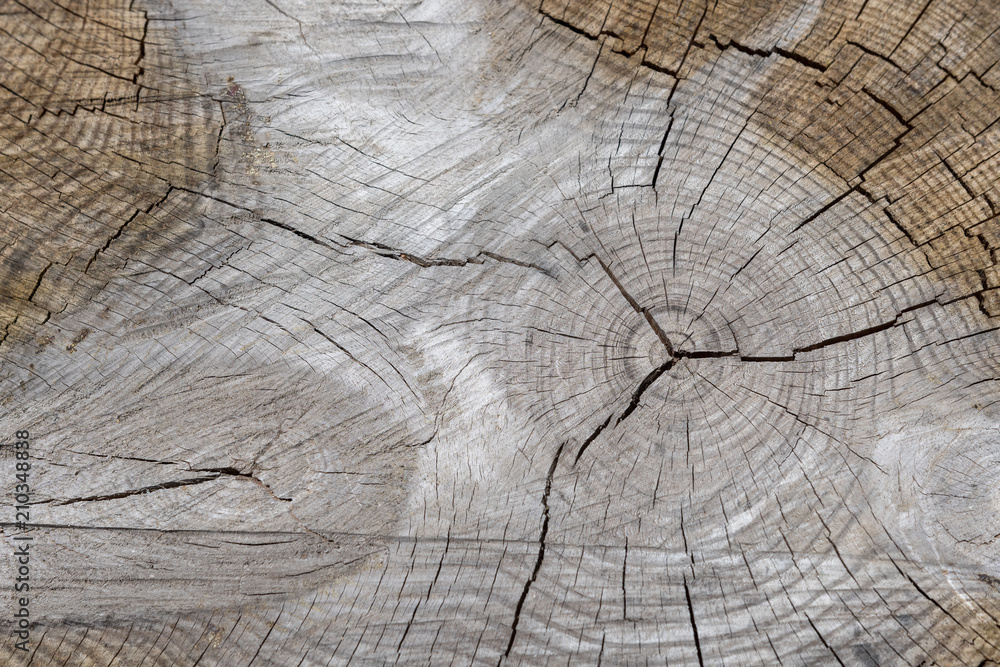 Holz mit Struktur