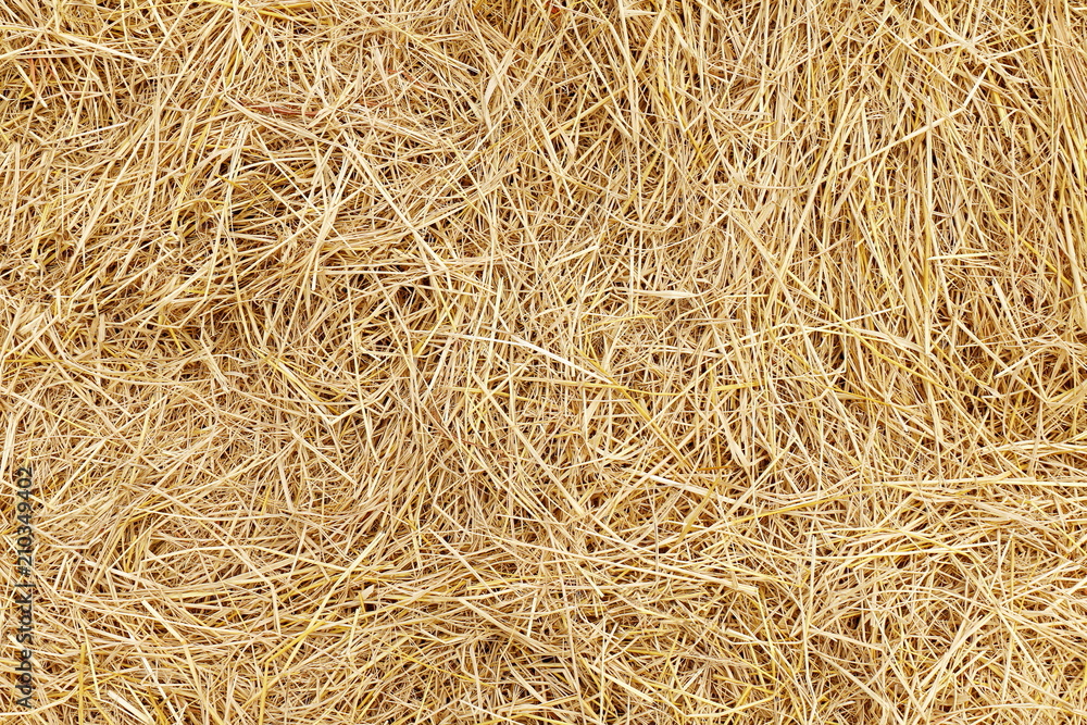 straw, dry straw, hay straw yellow background, hay straw texture
