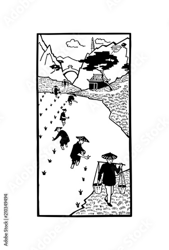 harvest on a plantation of rice on a white background