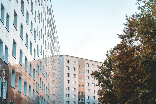 two plattenbau buildings with copy space in the sky and tree on the side