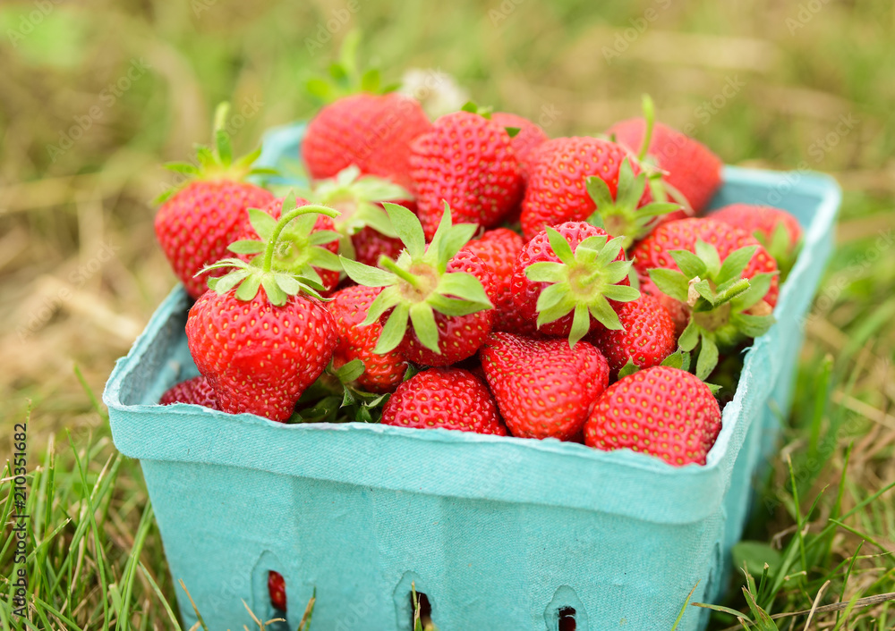 Strawberries Strawberries