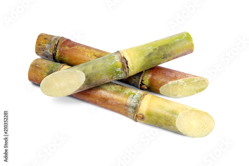 Sugar cane, Cane, Sugarcane piece fresh, Sugar cane on white background, Sugarcane fresh