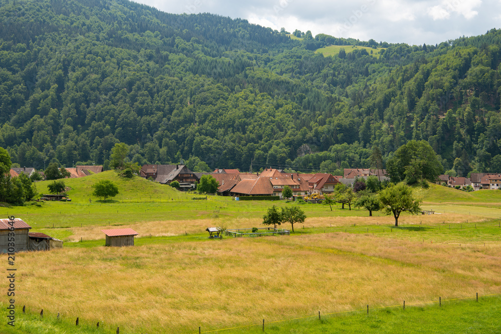 Dorf im Schwarzwald