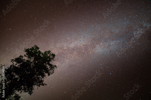 Night sky of milky way with tree located north of thailand
