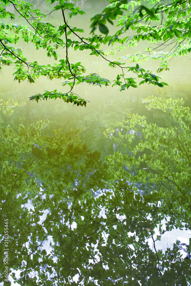 Nature Wallpaper Vertical