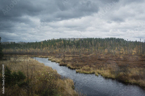 Autumn view on riverbanks with forest in the back