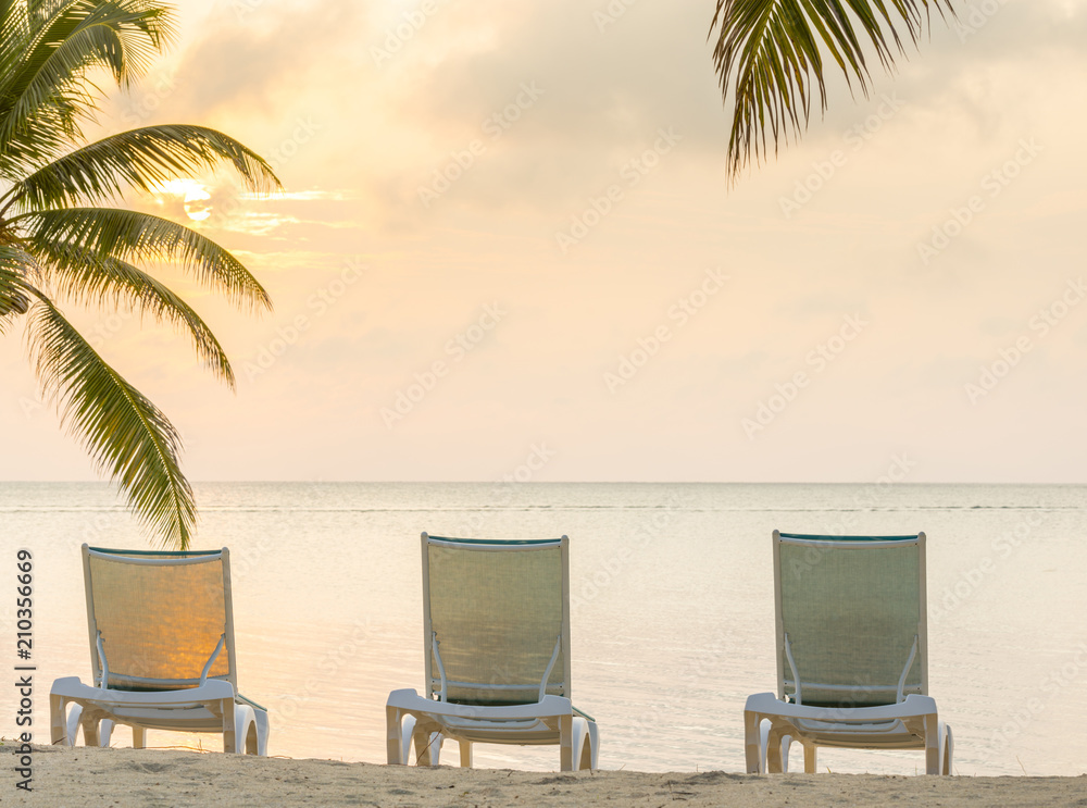 Tropical Beach Resort