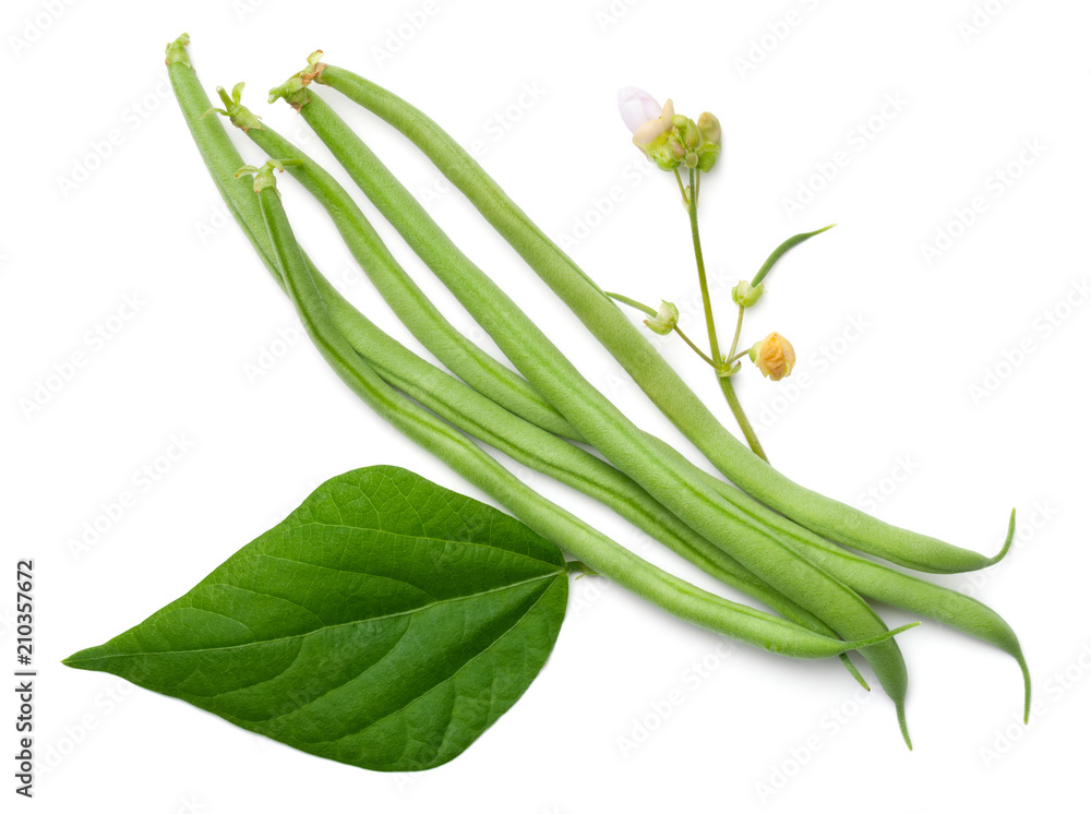 Green Beans Isolated on White Background Green Beans Isolated on White Background