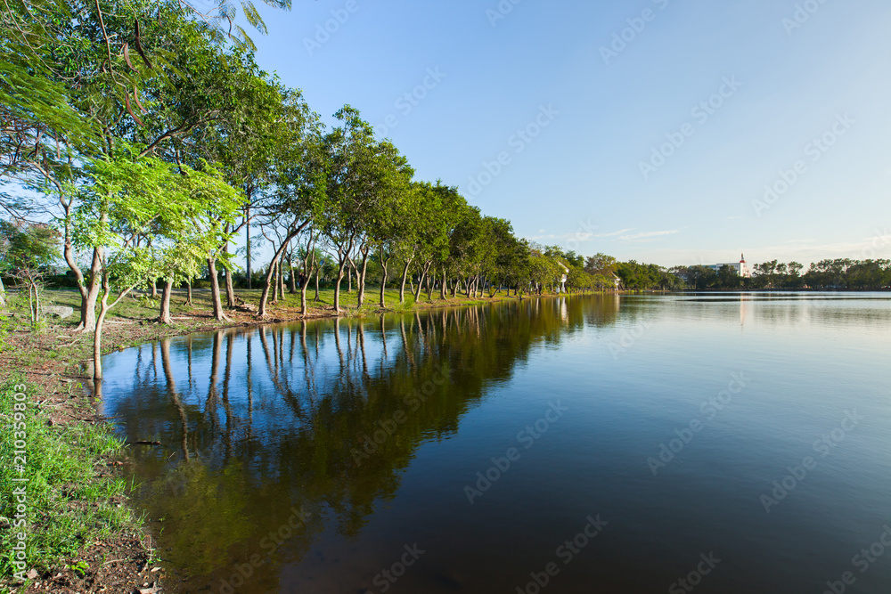 landscape view of lake at sunset timing with tree located Bangkok Thailand landscape view of lake at sunset timing with tree located Bangkok Thailand