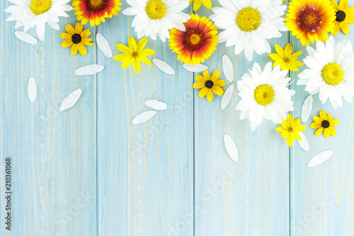 White daisies and garden flowers on a light blue worn wooden table. The flowers are arranged in the upper part, the empty space left below.