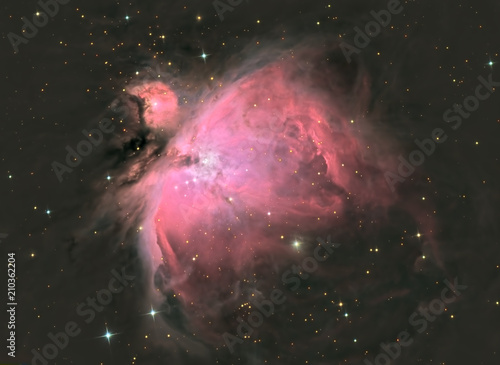 Fototapeta Naklejka Na Ścianę i Meble -  Astrofotografie Orionnebel M42