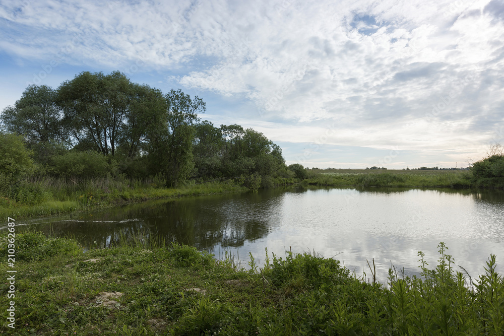 A picturesque pond with overgrown green banks and clouds in the blue sky. Sunny summer morning.