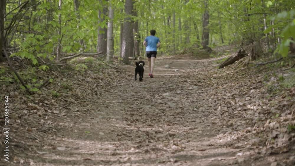 A man walking a dog through the woods. A man walking a dog through the woods.