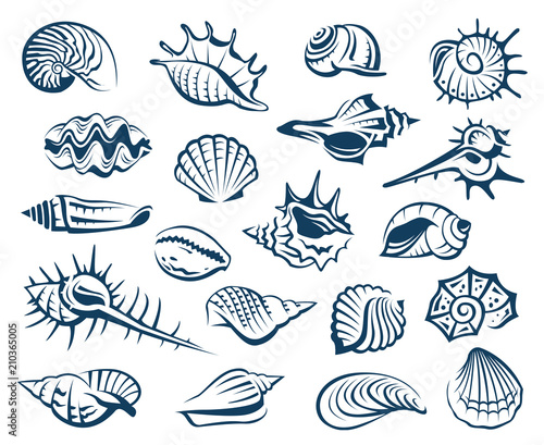 monochrome collection of various seashells 