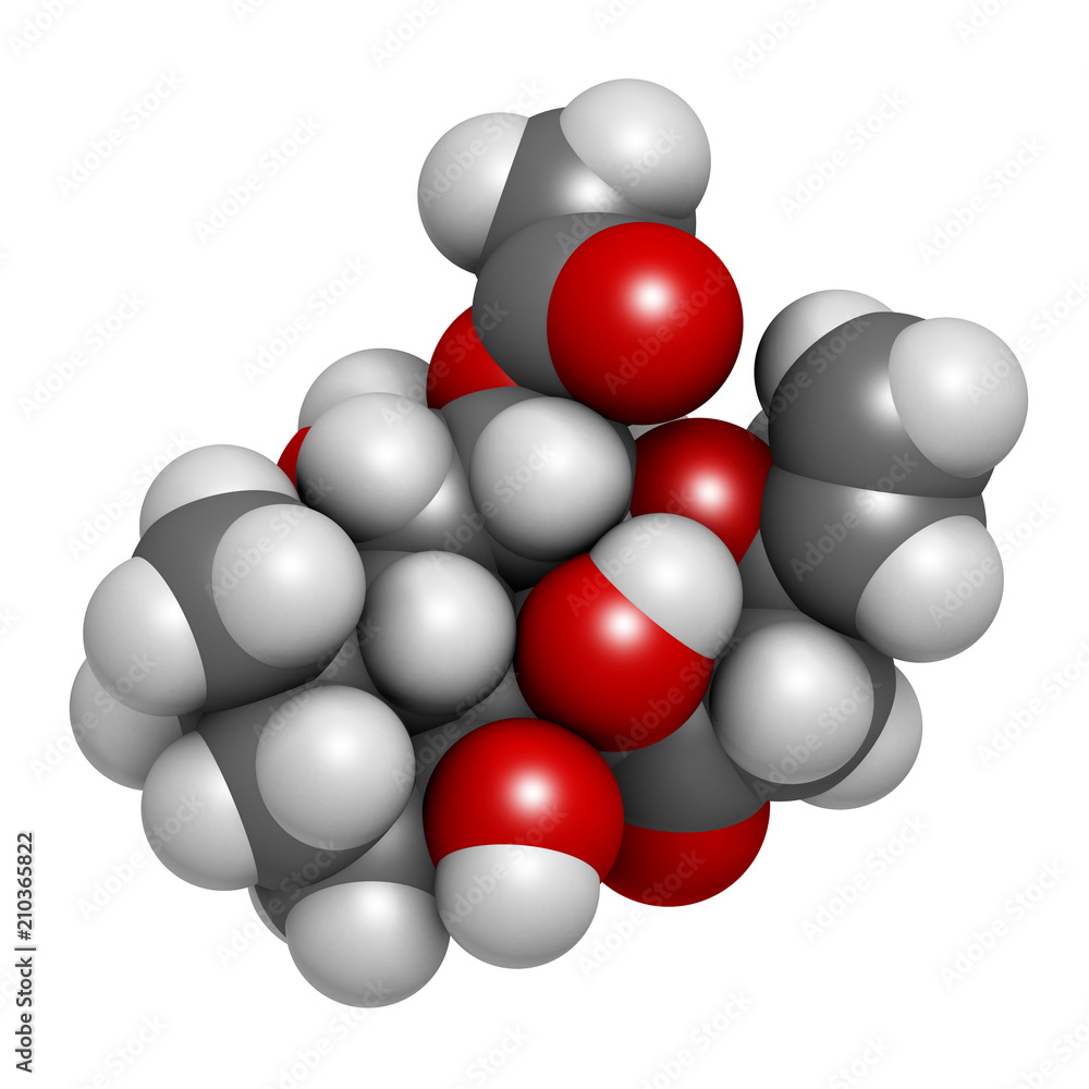 Forskolin (coleonol) molecule. Activates the enzyme adenylyl cyclase, resulting in increased levels of cAMP. 3D rendering. Atoms are represented as spheres with conventional color. Forskolin (coleonol) molecule. Activates the enzyme adenylyl cyclase, resulting in increased levels of cAMP. 3D rendering. Atoms are represented as spheres with conventional color.