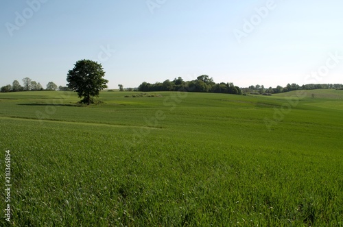 Fototapeta Naklejka Na Ścianę i Meble -  Warmia_2018