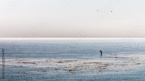 A paddle boarder is far out in the ocean paddling through a field of kelp. An early morning grey sky is above the horizon. The ocean is blue and flat.