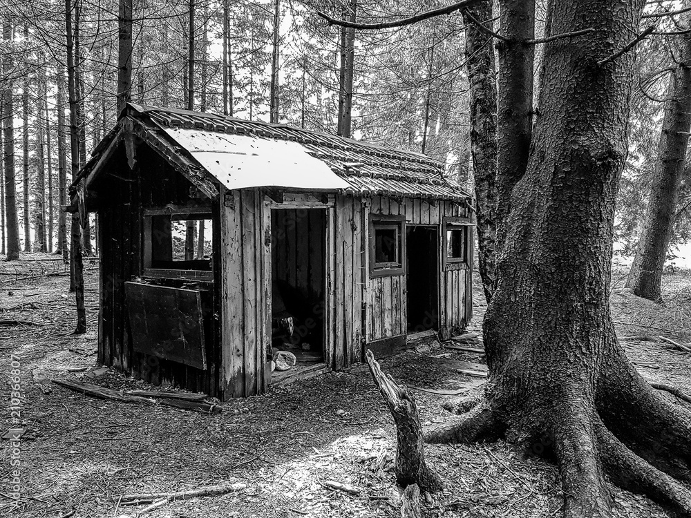 Obraz premium Häuschen im Wald