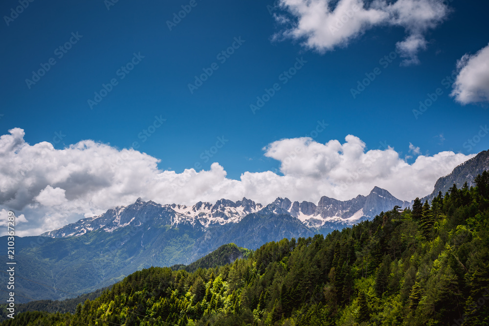 Mountain forest in clouds landscape.