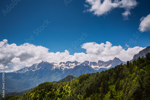 Mountain forest in clouds landscape.
