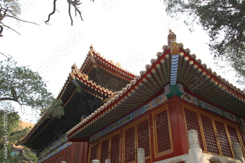 pagoda in asia in spring 