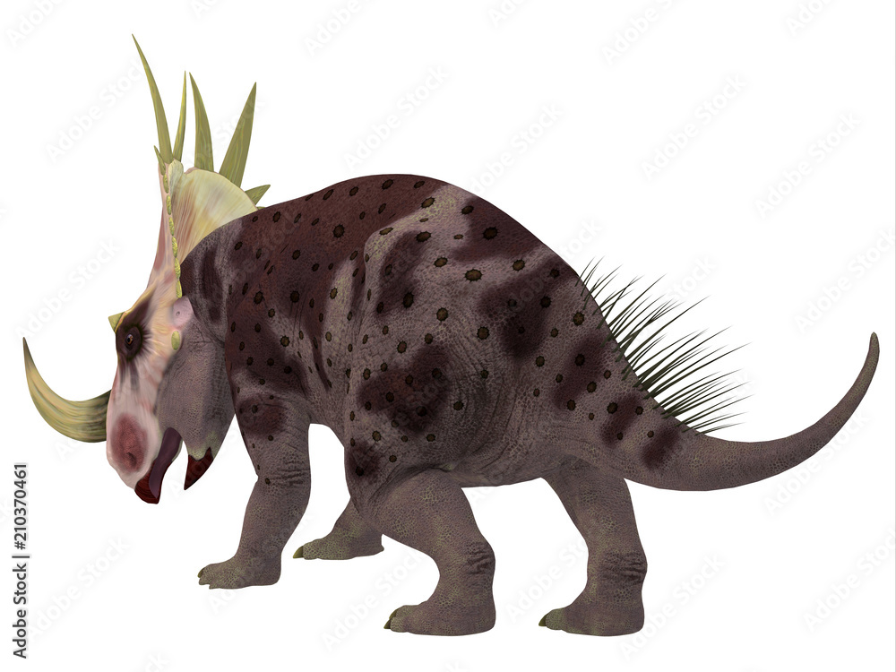 Rubeosaurus Dinosaur Tail - Rubeosaurus was a herbivorous Ceratopsian dinosaur that lived in North America during the Cretaceous Period.