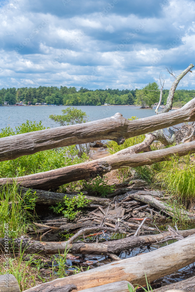 Sebago Lake State Park, Maine