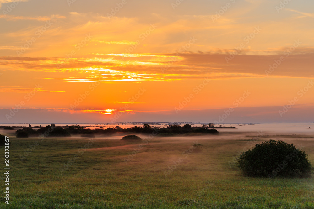 Sunrise - Colorful foggy landscape with meadows, trees, grass at dawn Sunrise - Colorful foggy landscape with meadows, trees, grass at dawn