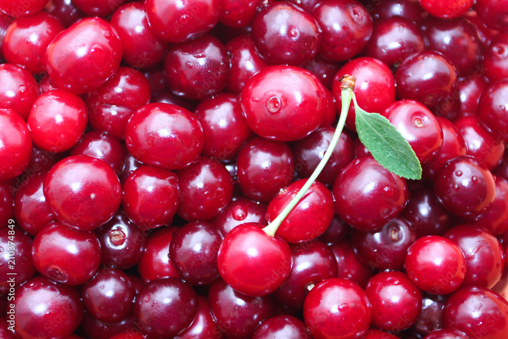 Red ripe delicious cherries background Red ripe delicious cherries background