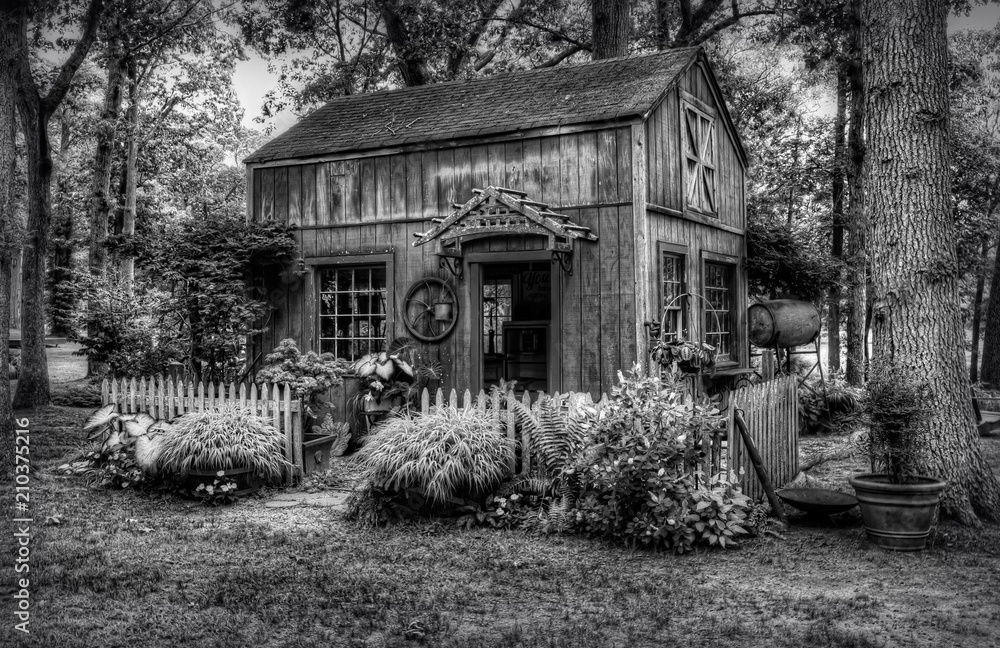 Tool Shed In Woods Tool Shed In Woods
