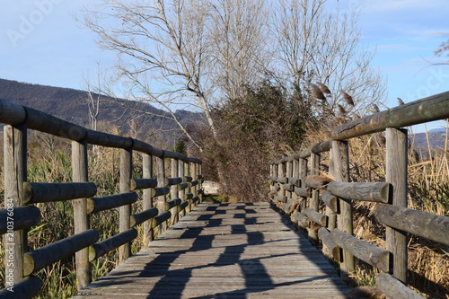 view on the torbiere of iseo lake photo