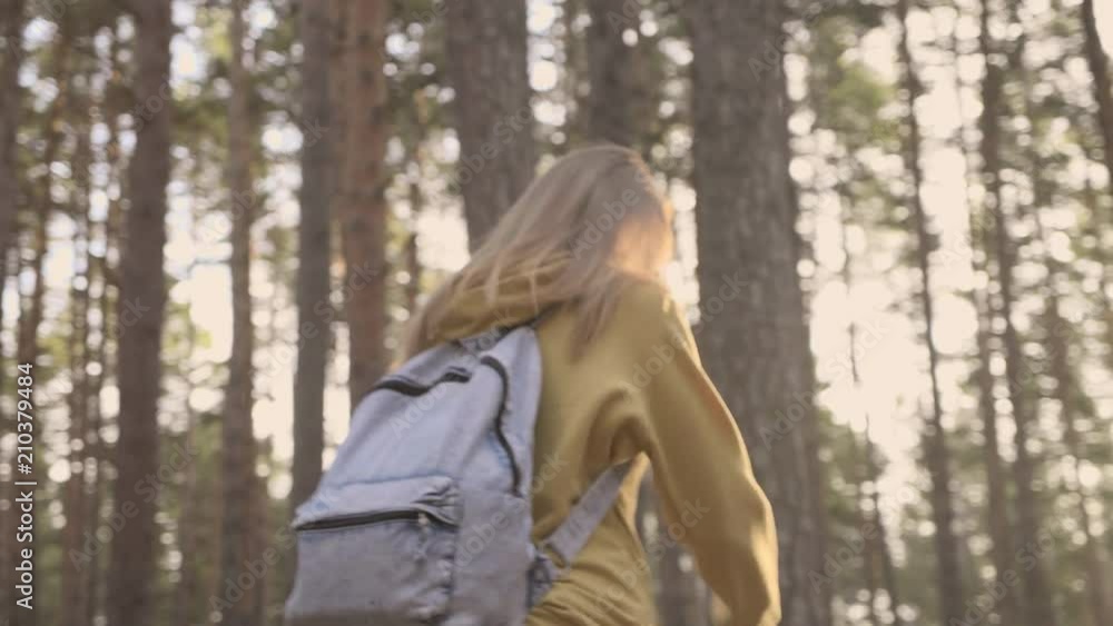 Back view: blonde caucasian hiker woman with backpack going on the forest trail slow motion. Sunny weather, hair flapping in the wind. Sunset scene, lights is shining. Tall pines at background Back view: blonde caucasian hiker woman with backpack going on the forest trail slow motion. Sunny weather, hair flapping in the wind. Sunset scene, lights is shining. Tall pines at background