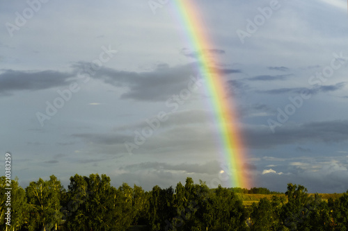 bright rainbow in the sky with dark clouds on the background of trees 