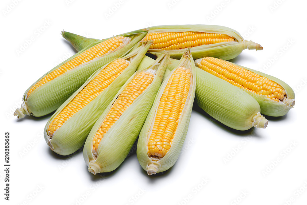 corn isolated on white background, closeup top view. corn isolated on white background, closeup top view.