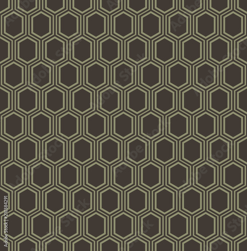 Abstract geometric line hexagon seamless pattern background