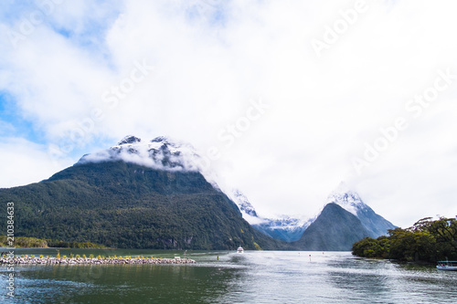 A stunning scene of nature with snow mountain and waterfalls at Milford Sound  New Zealand.