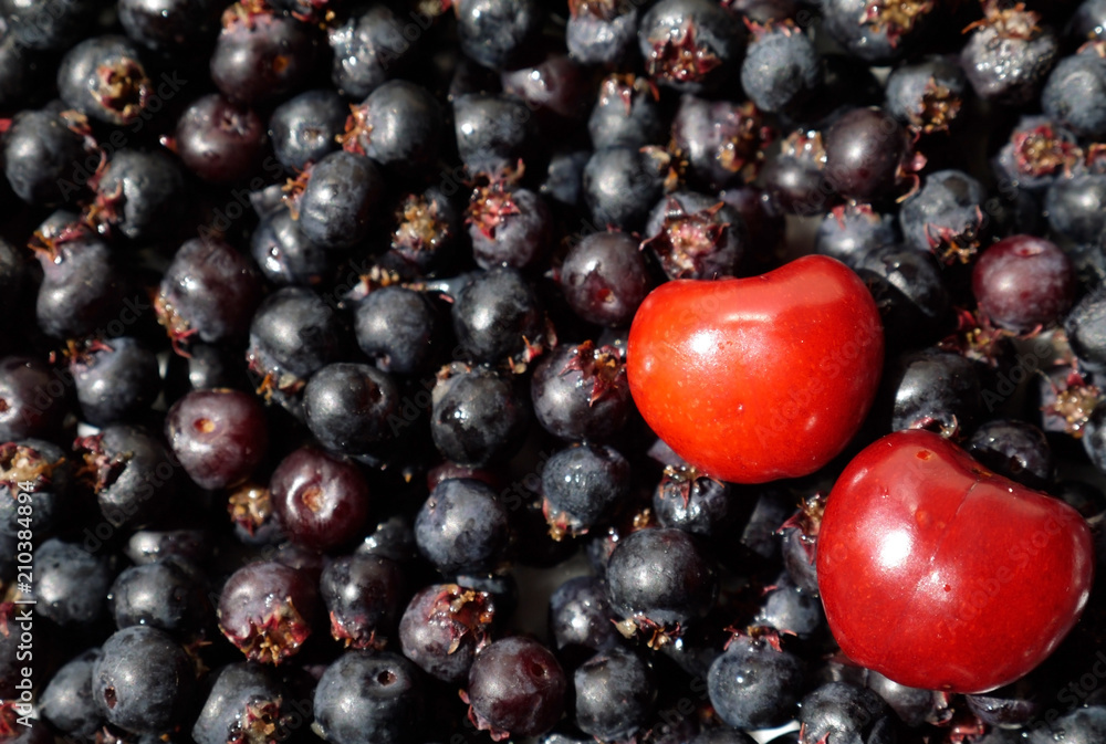 red cherries and black berries