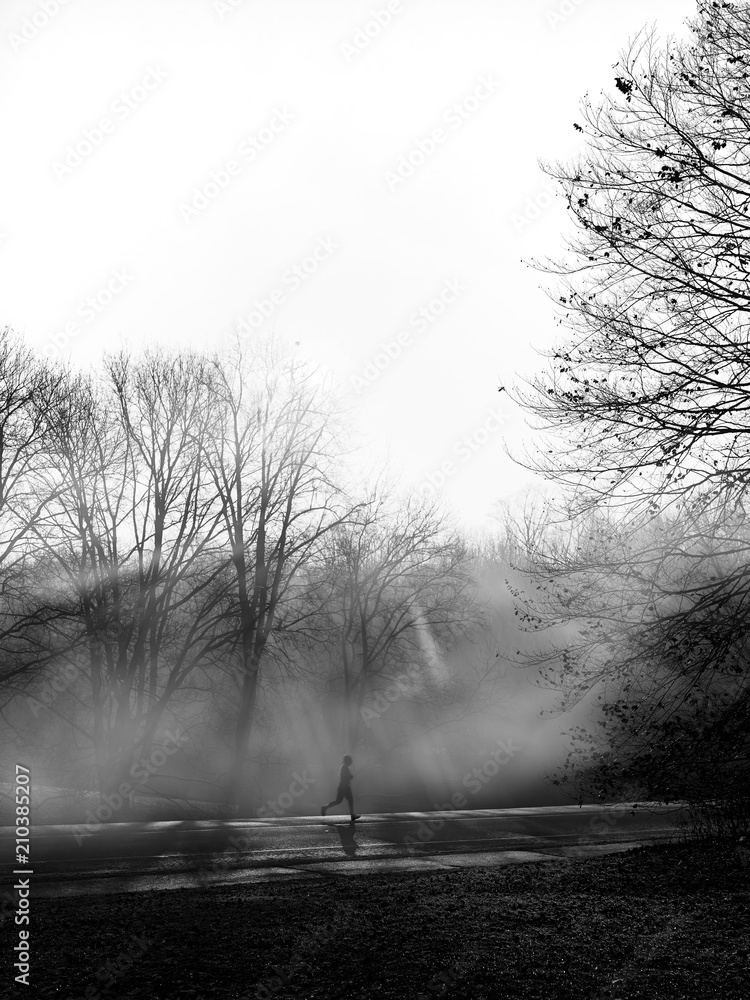 Obraz premium Runner in Fog