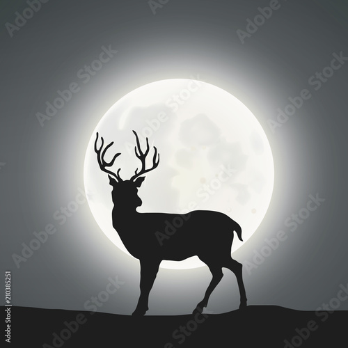 A Buck Under The Moonlight  photo
