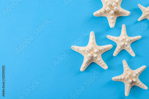 Tropical holiday, minimalism and summer vacation concept with close up on a bunch of starfish isolated on minimalist blue background with copy space, top view and flat lay