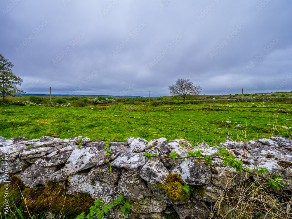 Stone wall and ancient church ruin in Ireland