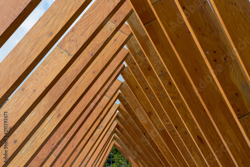 Wood