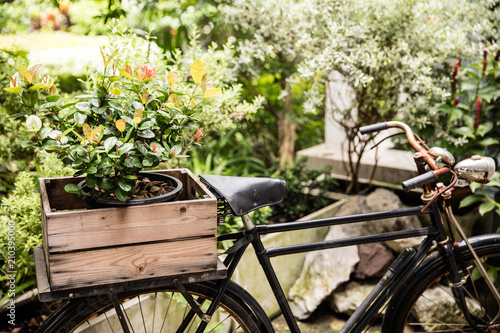 Garden decorations, a vase on an old bicycle
