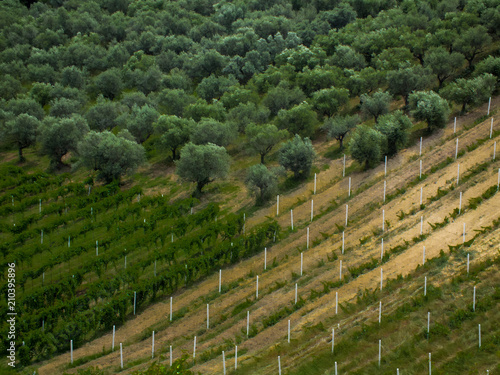 beautiful landscape design