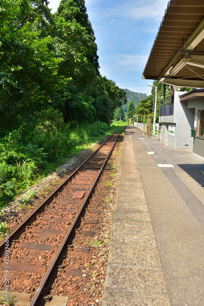 Fototapeta premium 新潟 JR磐越西線咲花駅