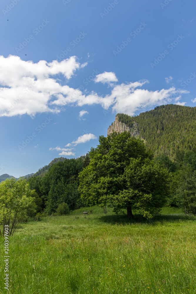 Landscape in mountain with sky,clouds and trees