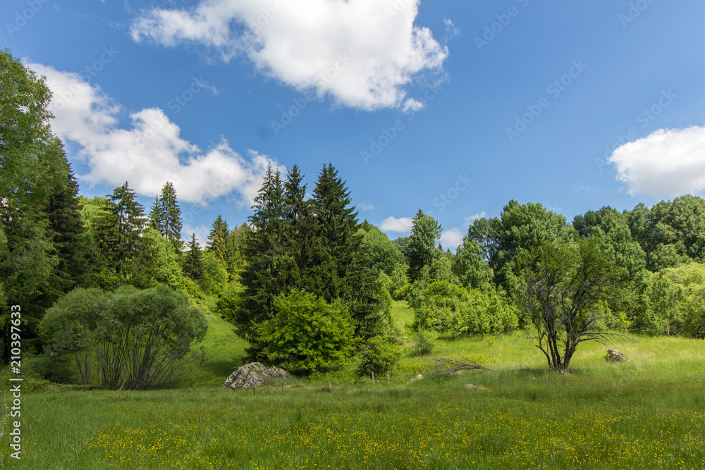 Landscape in mountain with sky,clouds and trees