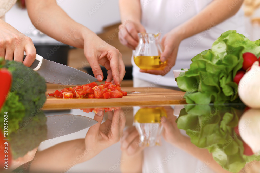 Closeup of human hands cooking in kitchen. Mother and daughter or two female friends cutting vegetables for fresh salad. Healthy meal, vegetarian food and lifestyle concepts Closeup of human hands cooking in kitchen. Mother and daughter or two female friends cutting vegetables for fresh salad. Healthy meal, vegetarian food and lifestyle concepts