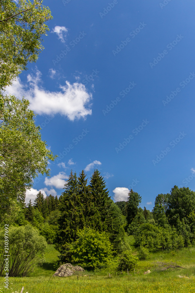 Landscape in mountain with sky,clouds and trees Landscape in mountain with sky,clouds and trees